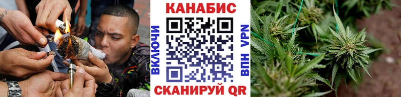 Шишки марихуана марихуана  Новоалтайск 
